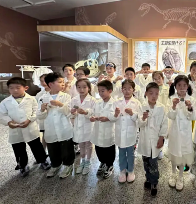 博物馆等社会场馆被整合成科普矩阵直接嵌进了学校的课表